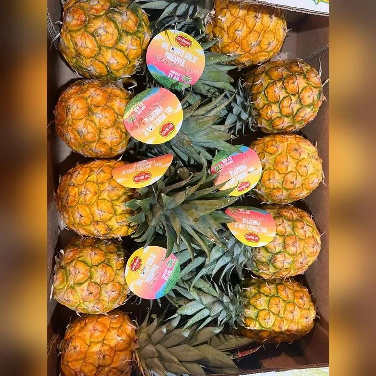 Ananas_Mini_Egipet_life