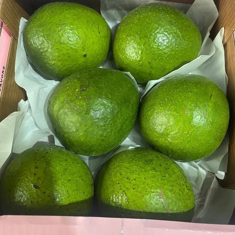 Avokado_p23