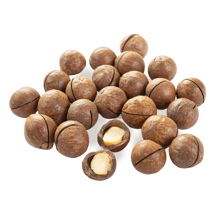 MACADAMIA-1-3