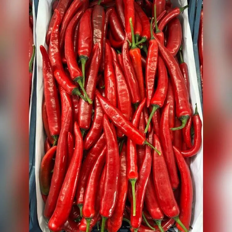 Perets_Chili_Krasniy_Ostriy23
