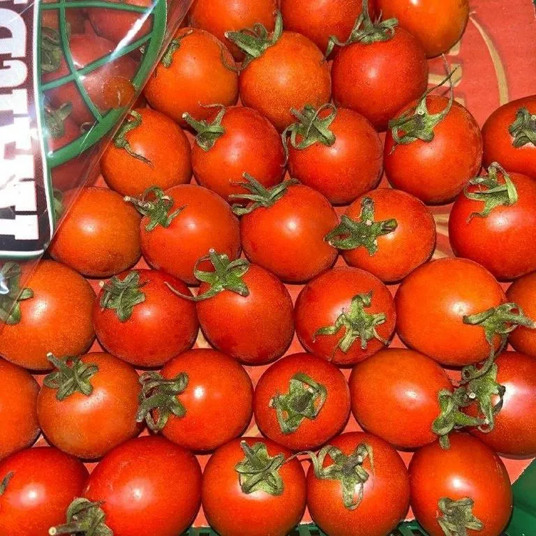 Tomaty_Cherri_krasn_2