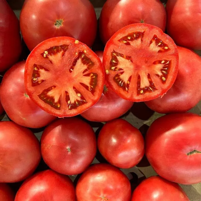 Tomaty_dagestan_life
