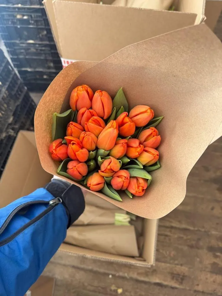 Фуддвор - Тюльпан оранжевый Тайм Аут