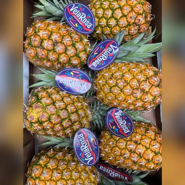 ananas_life