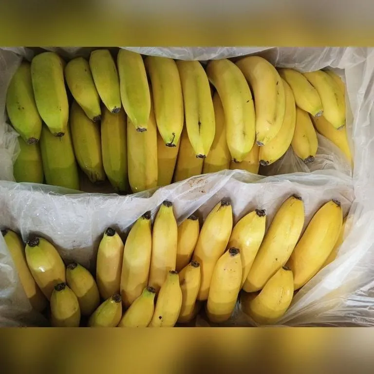 banan_life2